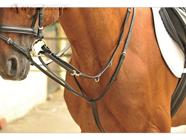 Thiedemann Draw Reins Combination