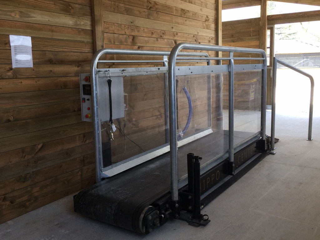 Hippocenter Lójártató Futószalagos Hippotrainer+ Plexi Galvanizált 380 V