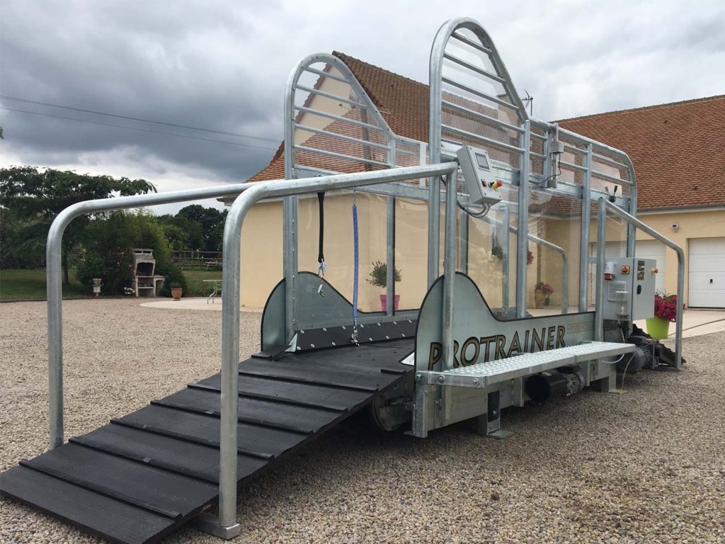 Hippocenter Lójártató Futószalagos Protrainer+ 220 V