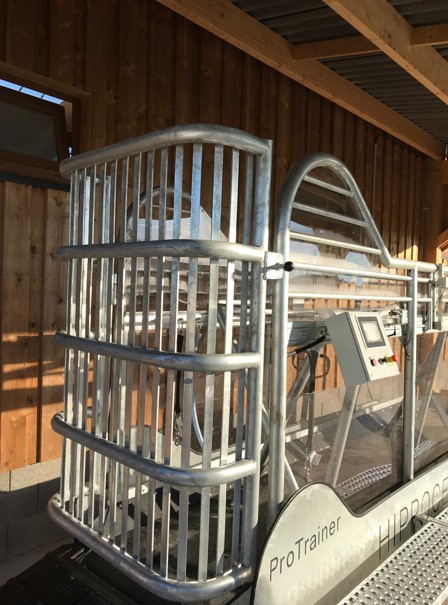 Hippocenter Lójártató Futószalagos Protrainerhez Galopp Ajtó