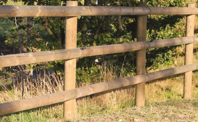 Hippocenter Fedetlen Körjártató Beo+Band & Svéd Gömbfa