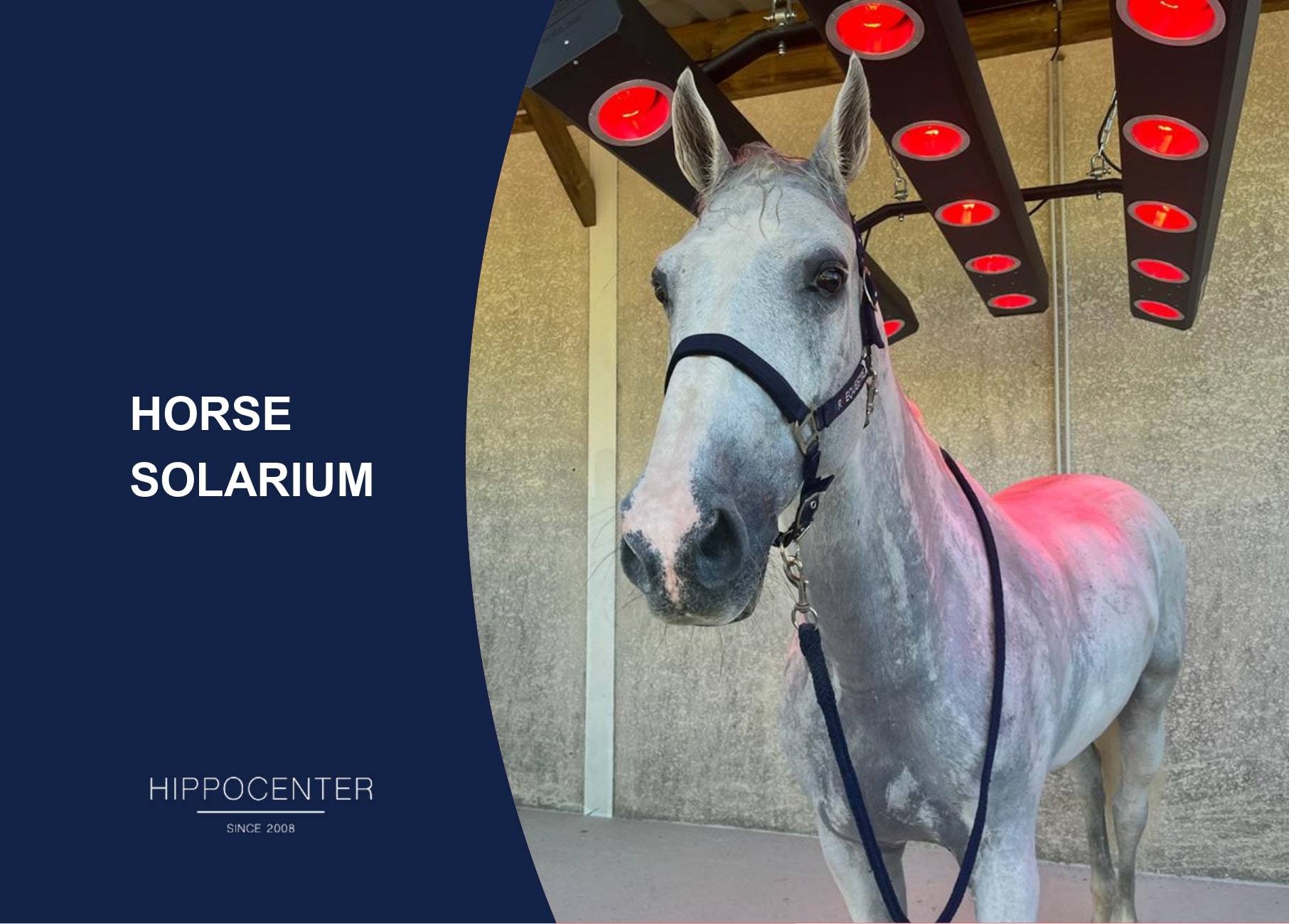 Hippocenter Horse Solarium (With 15 Lamps)