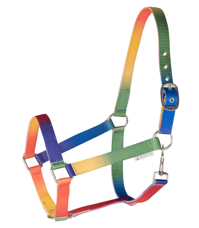 Multicolour Halter For Small Horses