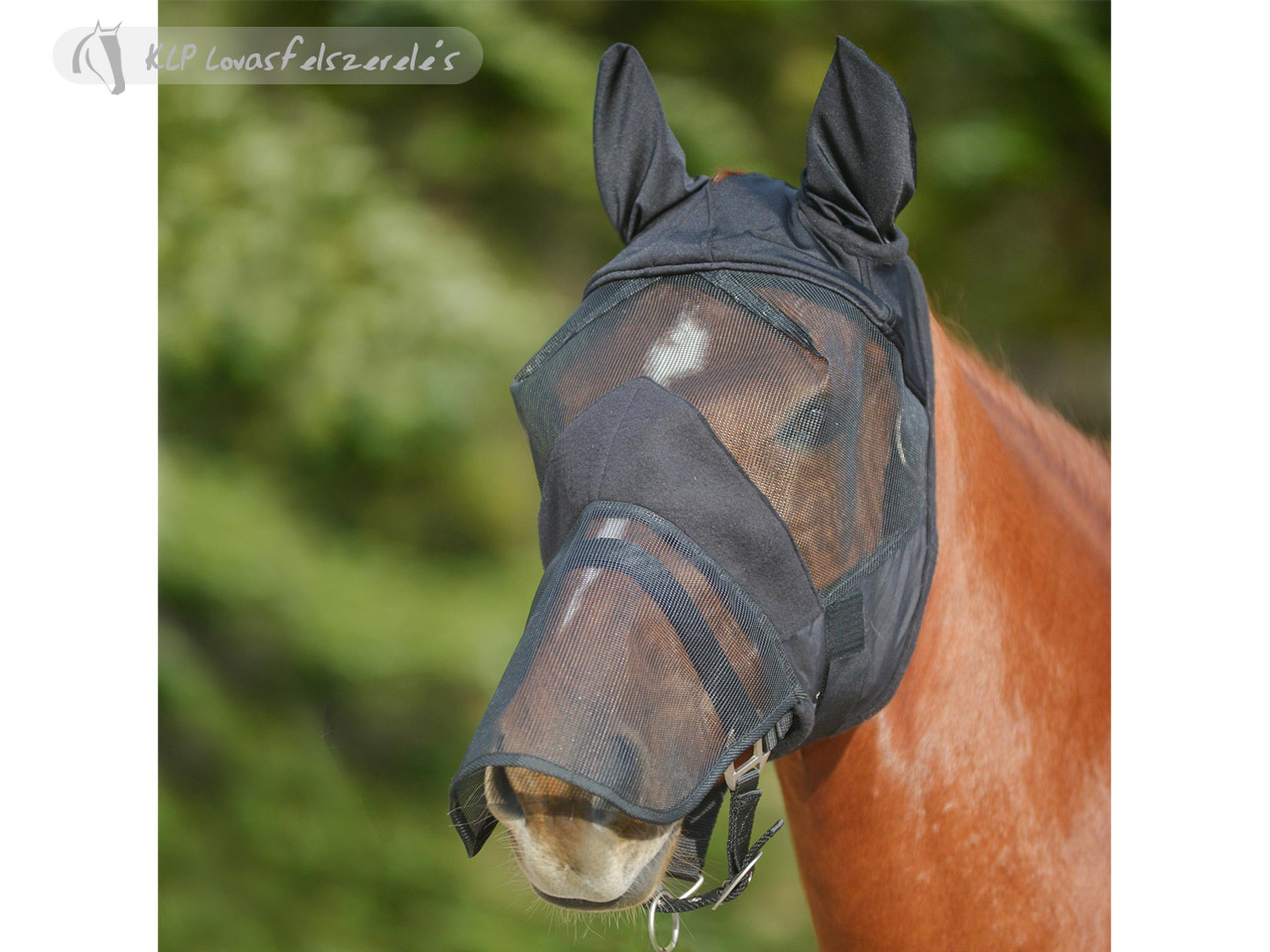 Anti Fly Bonnet With Nose Protection