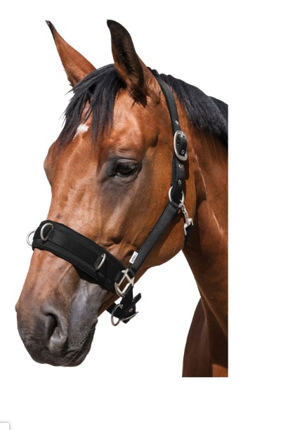 Kapicán Futószárazáshoz