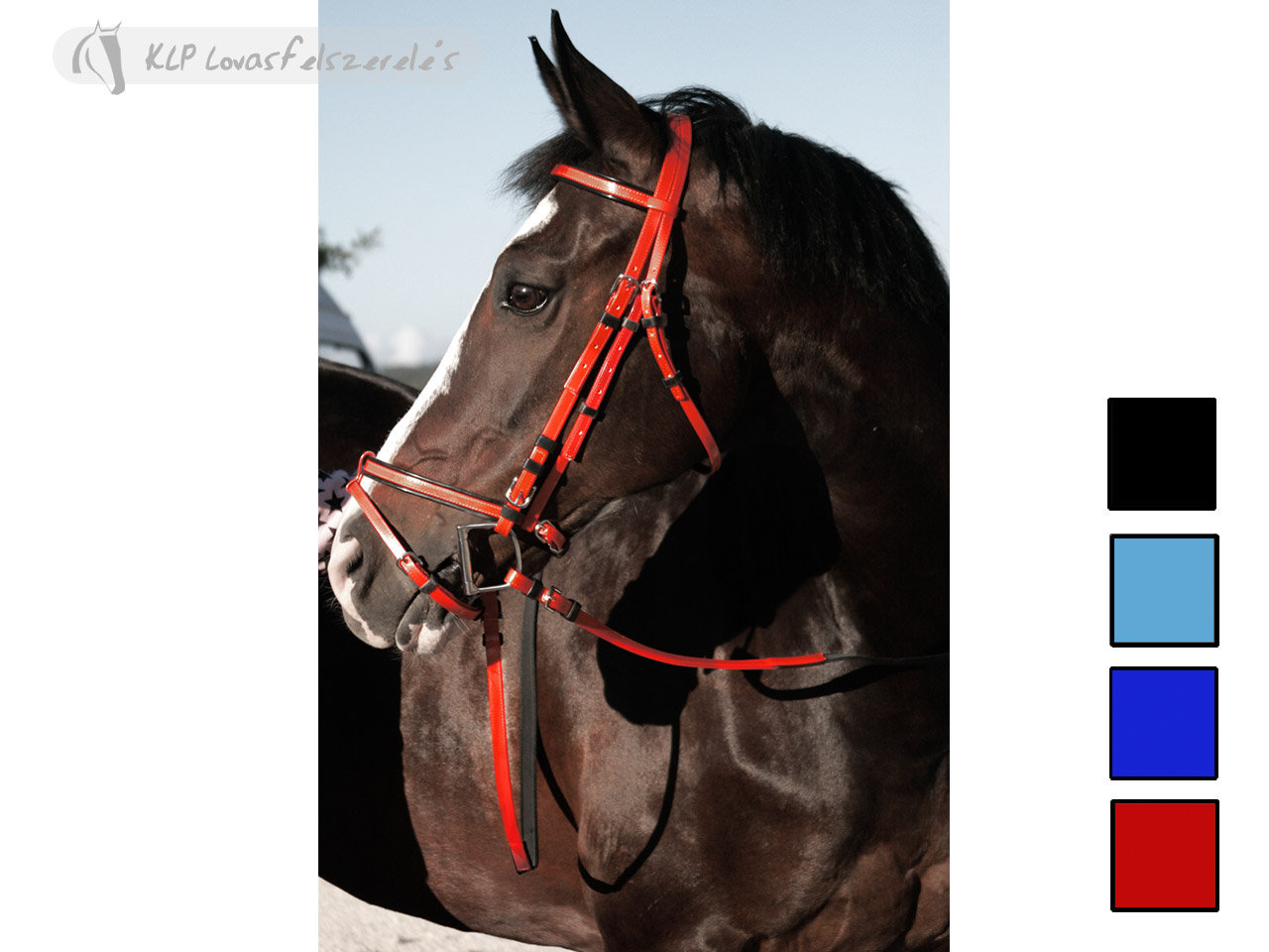Daslo Bridle Pvc With Rubber Reins